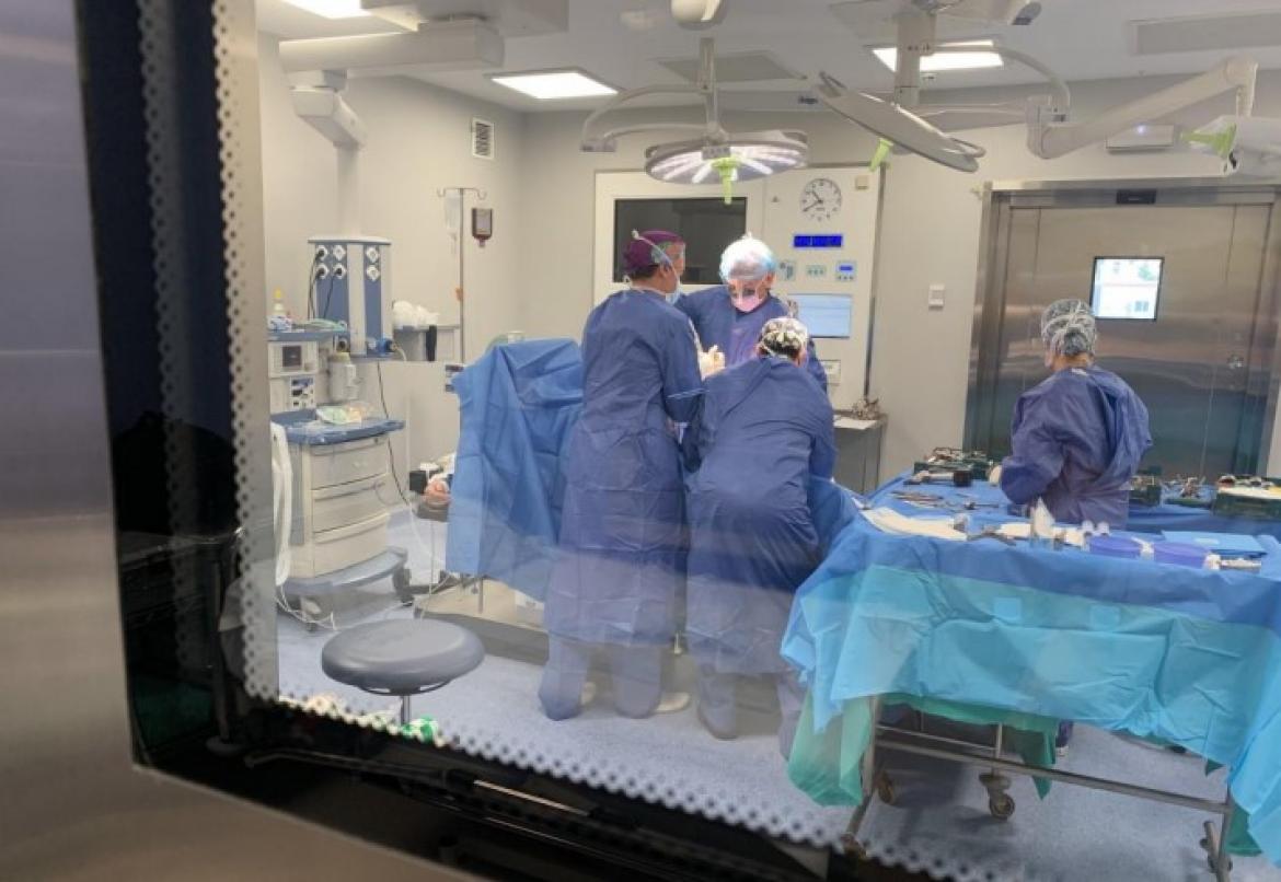 El Dr. Carlos Revenga con su equipo durante una implantación de prótesis de rodilla.